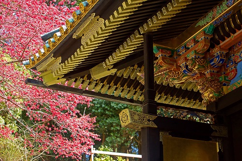 久能山東照宮 久能山東照宮